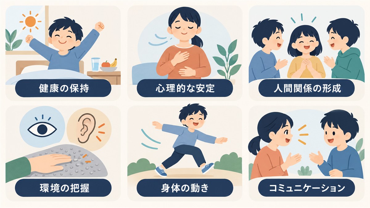 健康の保持や心理的な安定など自立活動の正式な六区分を示す図解