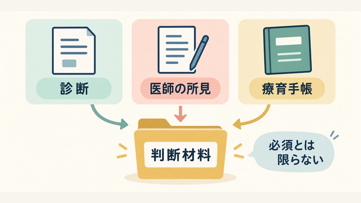診断・医師の所見・療育手帳は判断材料で必須とは限らないことを示す図