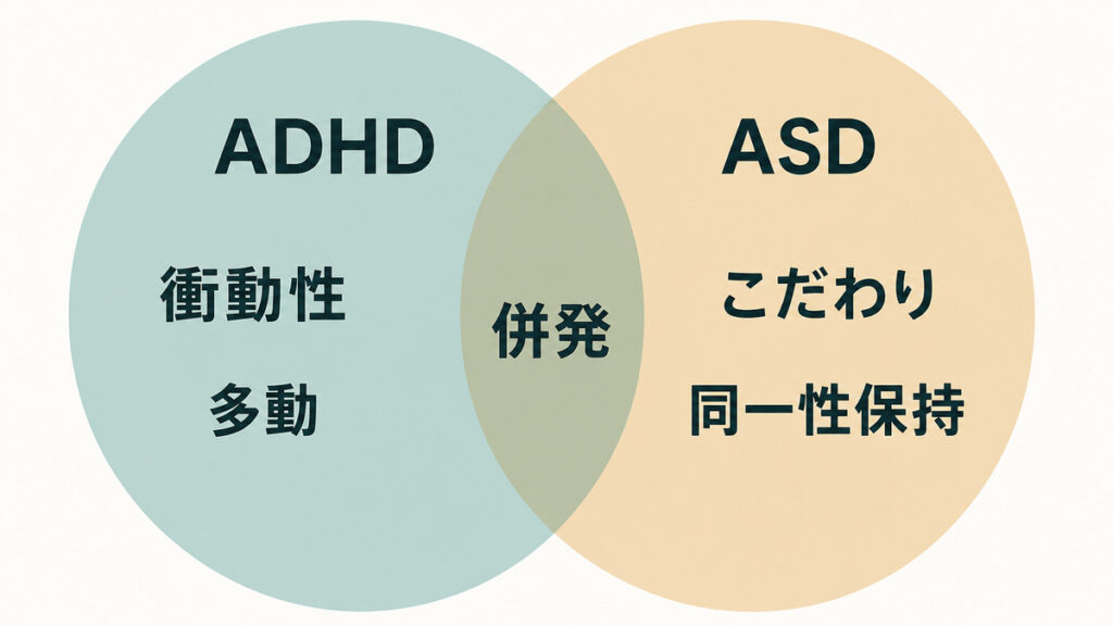 ADHDとASDの特性が重なる領域を示すベン図。左にADHDの衝動性・多動、右にASDのこだわり・同一性保持、重なりに併発