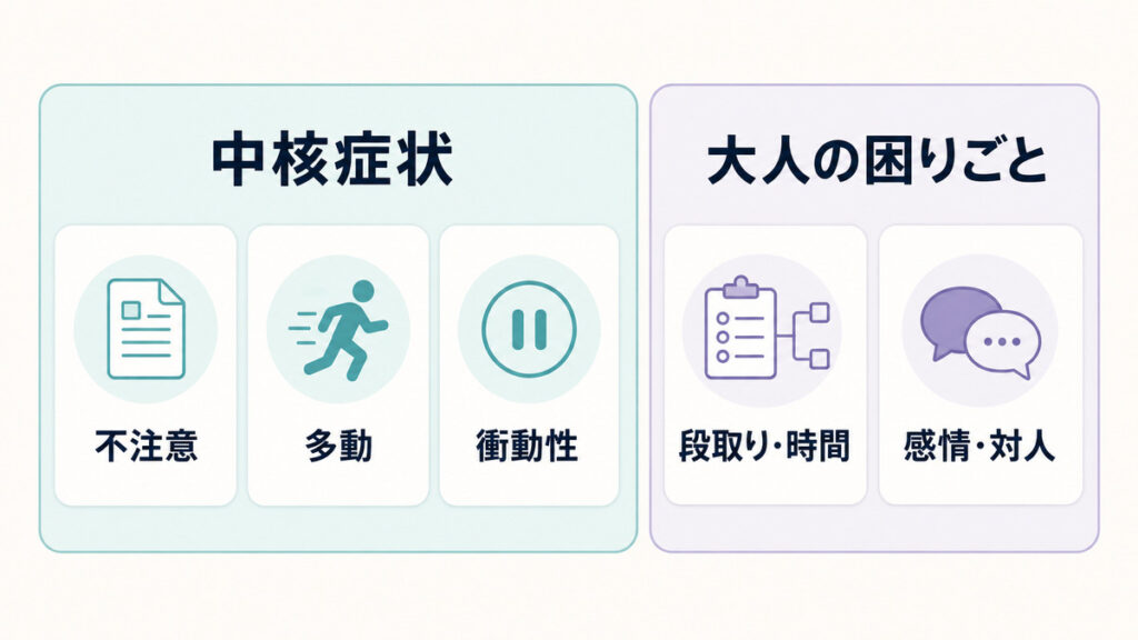 中核症状の三領域と大人の困りごとの二領域を分けて示す分類図